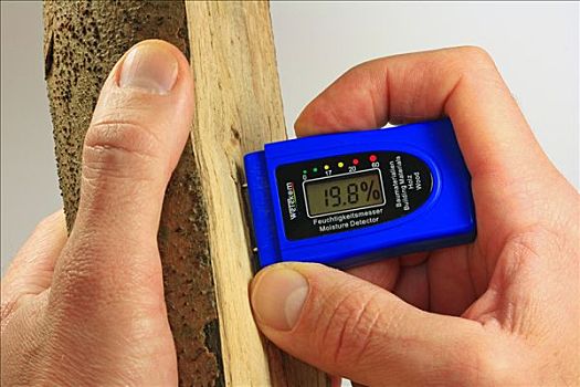 测量,潮湿,满意,木头,测量仪,价值