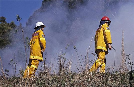 烟,灌丛火灾,志愿者,消防员,消防,港口,澳大利亚