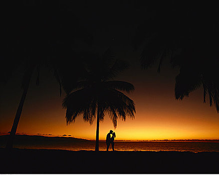 剪影,亲吻,棕榈树,日落,波多黎各,墨西哥