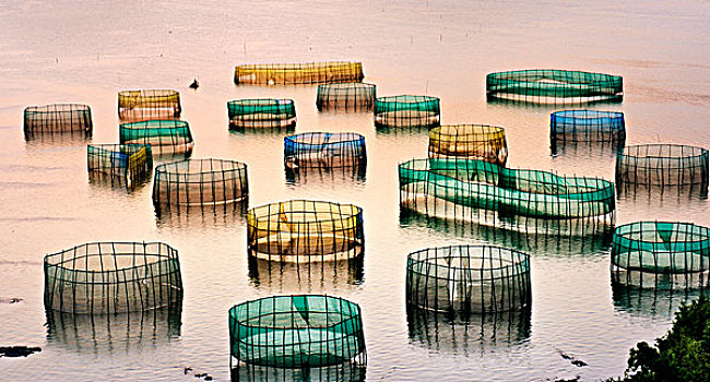 福建霞浦,养殖,晚霞