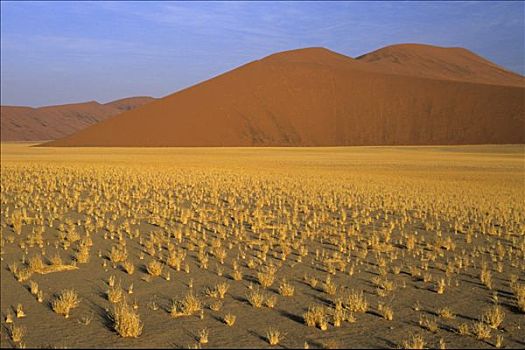纳米比亚,沙漠