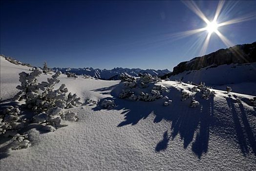 雪景,阿尔卑斯山,山谷,奥地利,欧洲