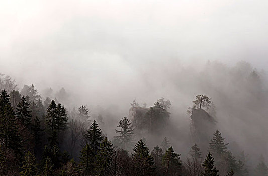 秋天,雾,阿尔卑斯山