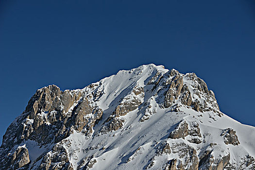 自然,冬季风景,树,初雪