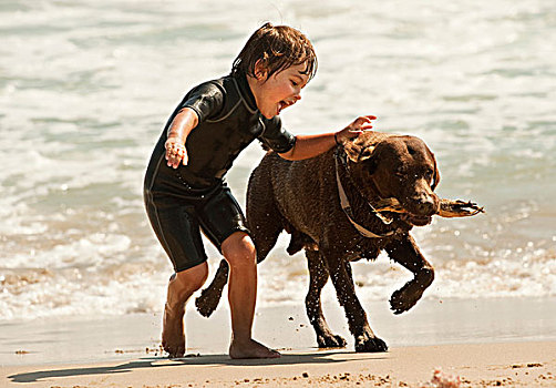 男孩,狗,海滩,正面,酒店,安达卢西亚,西班牙
