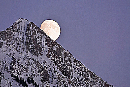 靠近,满月,后面,壮观,落基山,艾伯塔省,加拿大