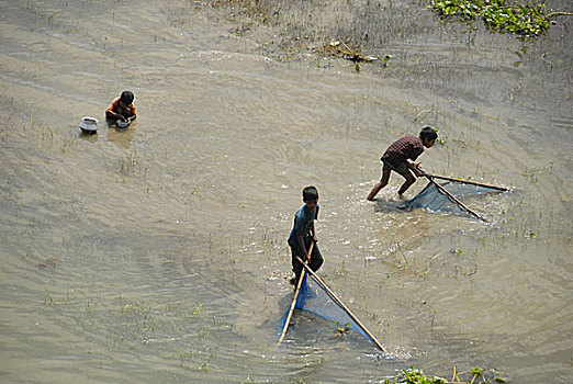 孩子,抓住,鱼,湖,靠近,河,达卡,孟加拉,十月,2005年
