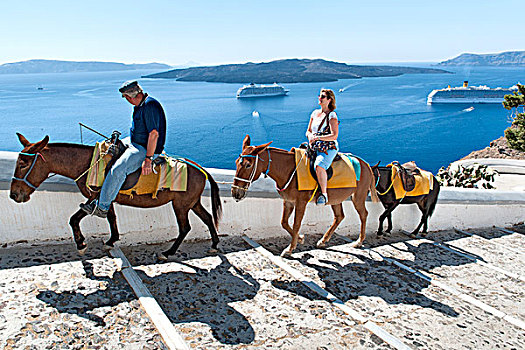 旅游,骑,驴,向上,老,港口,乡村,希腊,岛屿,锡拉岛