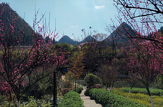 贵州醇景区风光