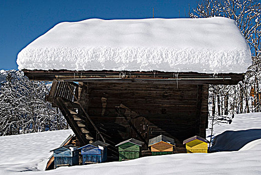 法国,阿尔卑斯山,上萨瓦省,下雪,小屋