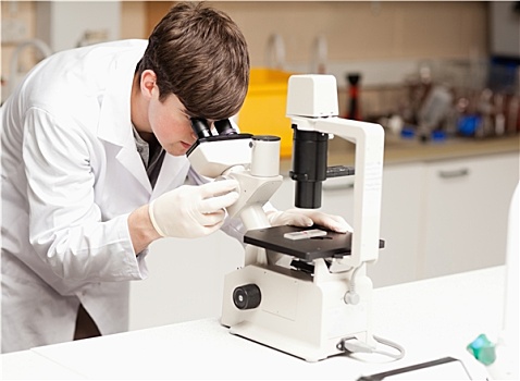 科学,学生,张望,显微镜