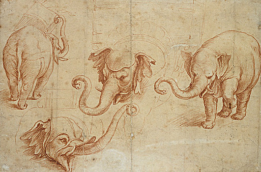 四个,学习,早,16世纪,艺术家