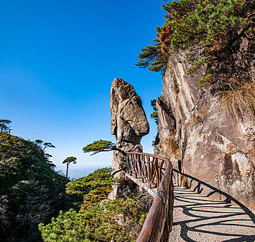 江西上饶三清山栈道旁的马头石