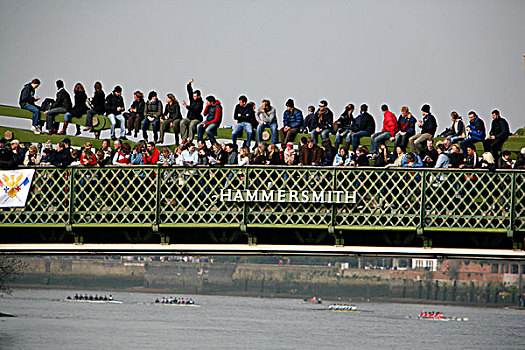 观众,栖息,桥,看,2008年,头部,河,比赛,泰晤士河,伦敦,英国