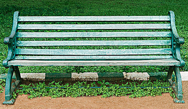 长椅,植物园,班加罗尔,印度