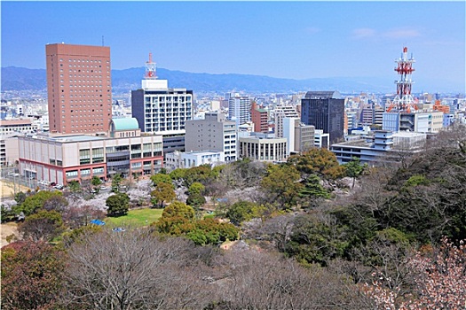 和歌山,城市,日本