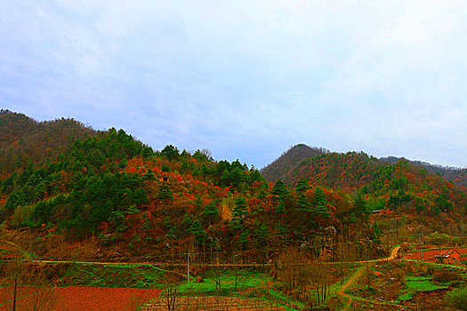 山村春雨后