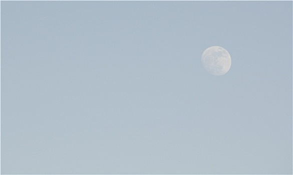 月亮,蓝色背景,天空