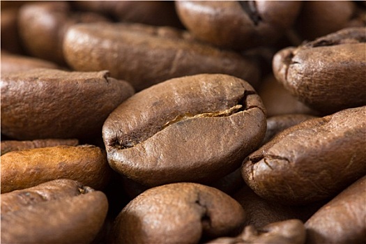 褐色,咖啡豆