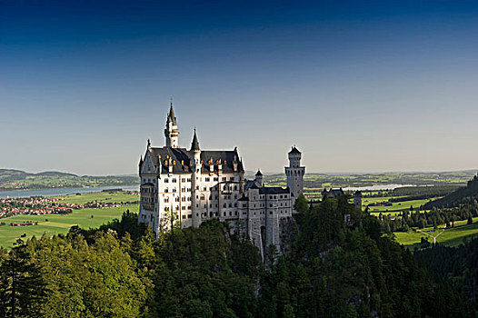 城堡,新天鹅堡,靠近,巴伐利亚,德国,欧洲