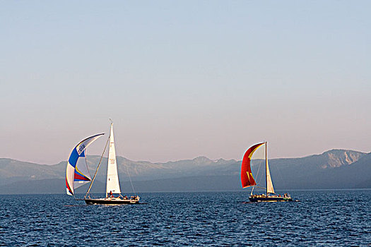 帆船,太浩湖,比赛