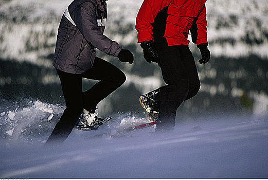 伴侣,雪鞋,不列颠哥伦比亚省,加拿大