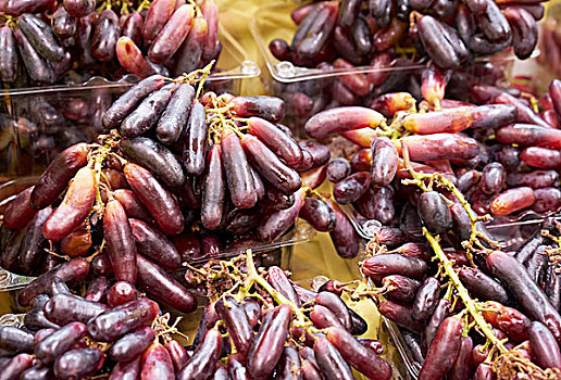 巴西,水果,长,葡萄