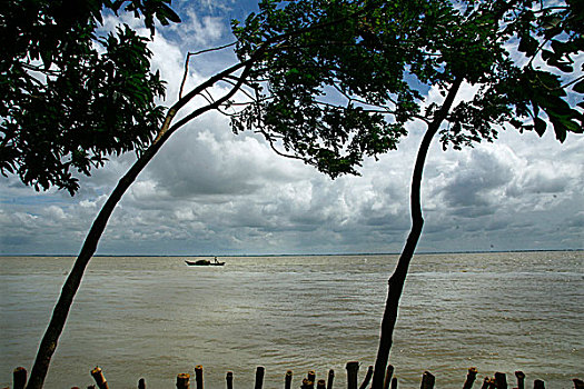 风景,河,达卡,孟加拉,七月,2009年