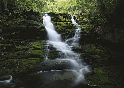 瀑布,树林,响尾蛇,波科诺山,宾夕法尼亚,美国