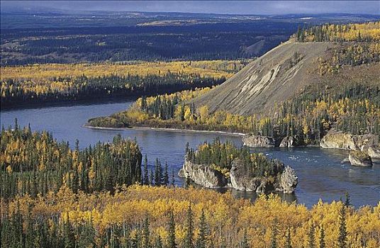 河,育空河,深秋,秋天,秋色,悬崖,风景,育空,加拿大,北美