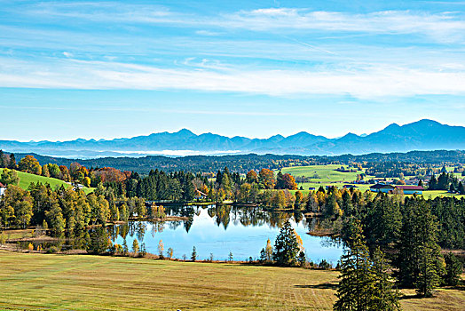 风景,小,水塘,秋天,后面,山脉,阿尔卑斯山,斯瓦比亚,巴伐利亚,德国,欧洲