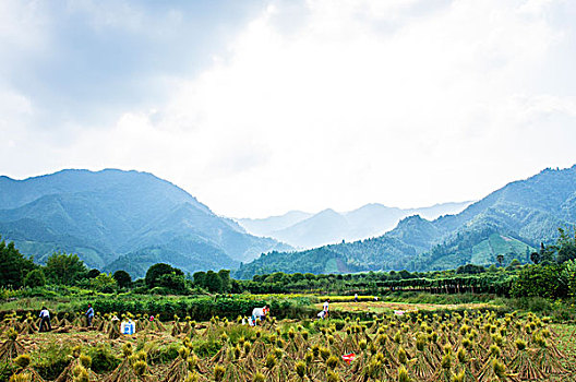 桂林山景秋色