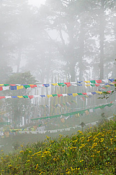 不丹,廷布,祈祷,旗帜,雾气