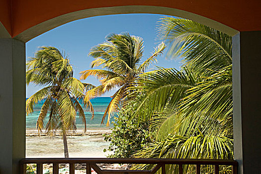 加勒比,波多黎各,海滩,棕榈树,门廊