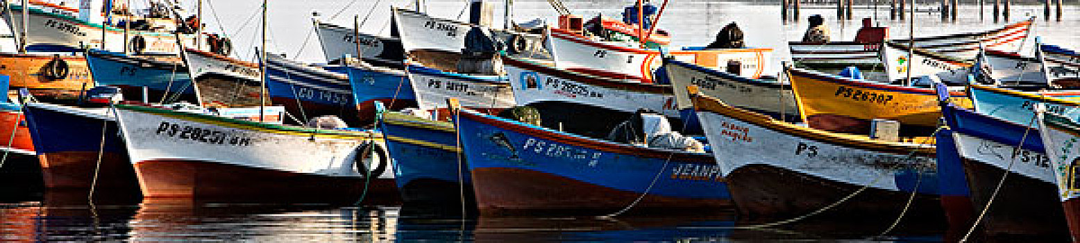 渔船,港口,帕拉加斯,秘鲁