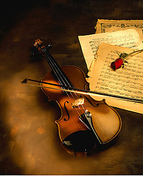 小提琴,乐谱,玫瑰
