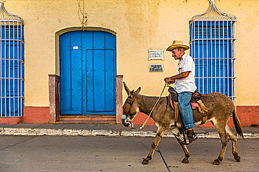 男人,骑,驴,特立尼达,古巴