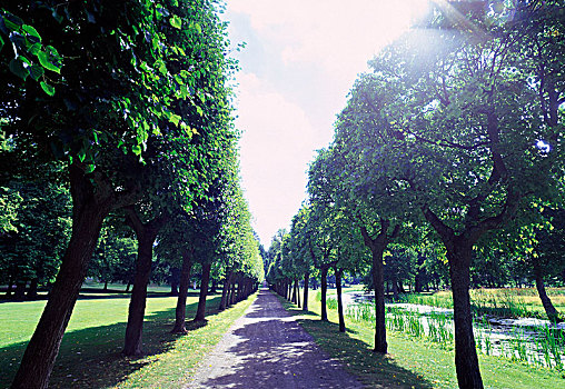 道路,公园,德罗特宁霍尔姆宫,瑞典