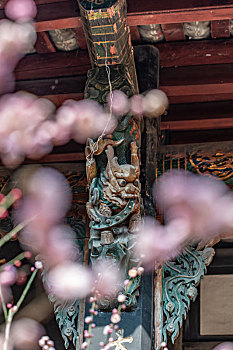 四川德阳罗江区白马关庞统祠