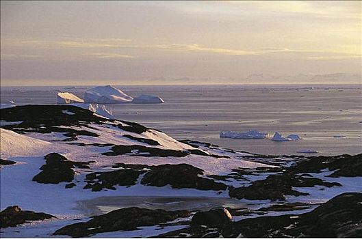 日落,极地,海洋,伊路利萨特,格陵兰,北极