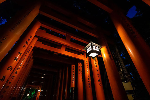 日本京都伏见稻荷大社千本鸟居夜景