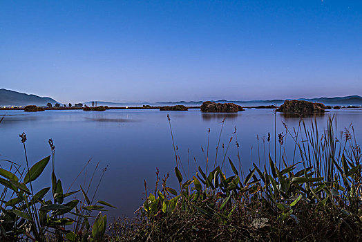 异龙湖夜色