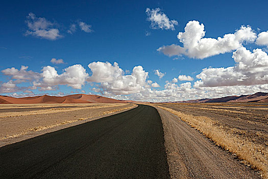 道路,索苏维来地区,沙丘,纳米布沙漠,背影,纳米比诺克陆夫国家公园,纳米比亚,非洲