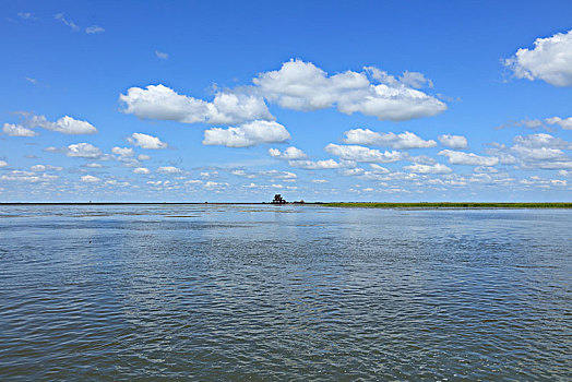 雁窝岛湿地