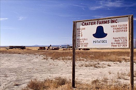 土豆,农场,美国,爱达荷