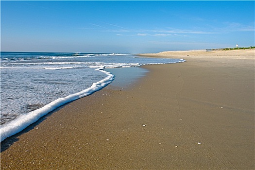 海滩,日出,大西洋