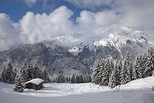 小屋,冬季风景,俯视图