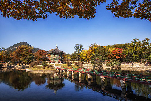 亭子,花园,秋叶,风景,景福宫,首尔,韩国