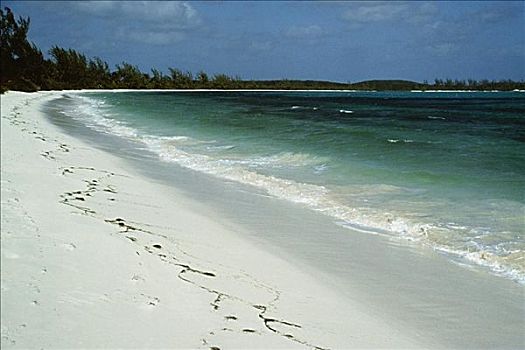 景色,隔绝,海滩,晴天,弯曲,自由岛,巴哈马
