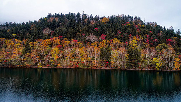 湖,秋天,北海道,日本